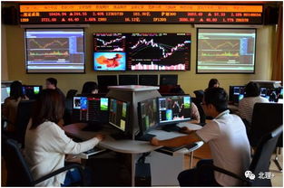 會(huì)計(jì)與金融學(xué)院投資管理專業(yè) 培養(yǎng)未來金融精英的搖籃