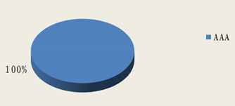北京市分行投資管理 戰(zhàn)略、挑戰(zhàn)與未來展望